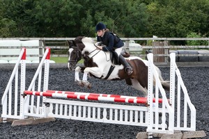 Class 6 - Fences not above 2'9